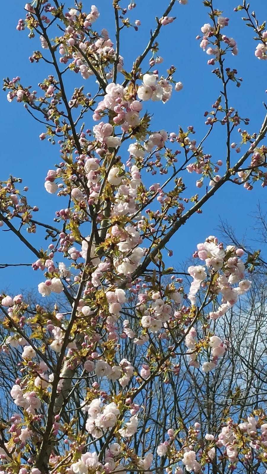Strickmodelle für den Frühling