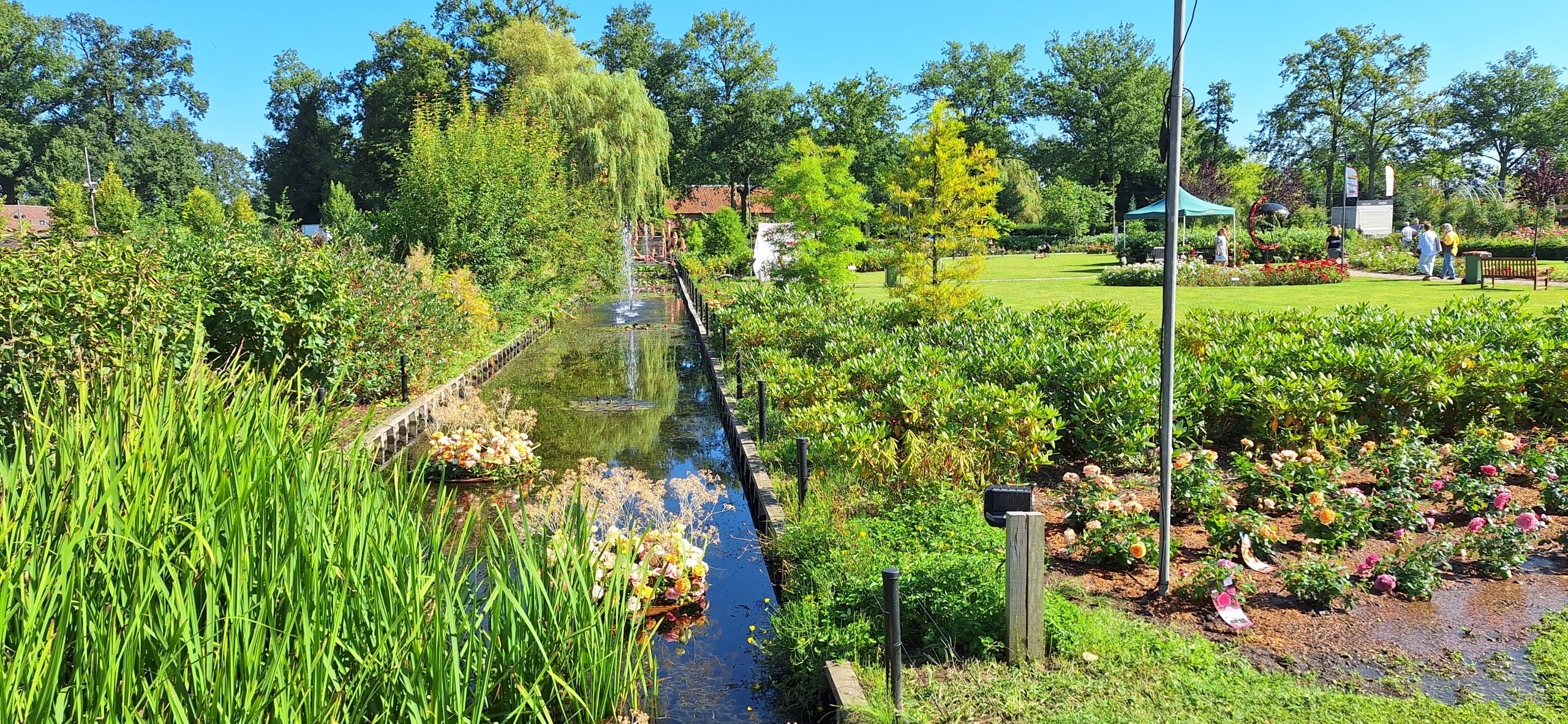 Strickmodelle für den Sommer